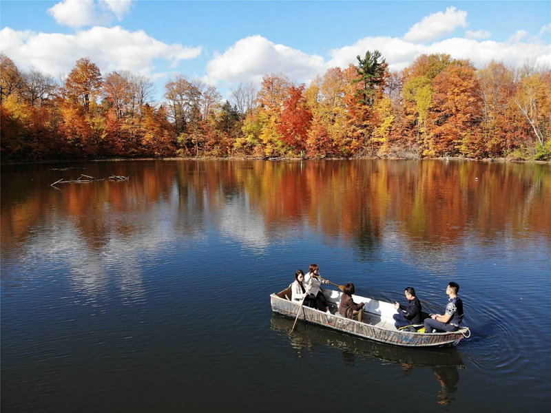 3134 Bloomington Rd, Whitchurch-Stouffville, L4A4A2 | Image 3