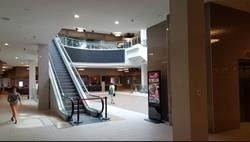 320 - 9390 Woodbine Ave, Markham, L6C0M5 | Image 3