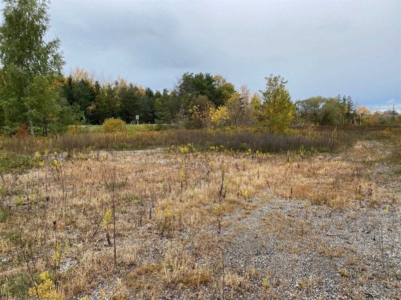 5360 Mount Albert Rd, East Gwillimbury, L0G1M0 | Image 3