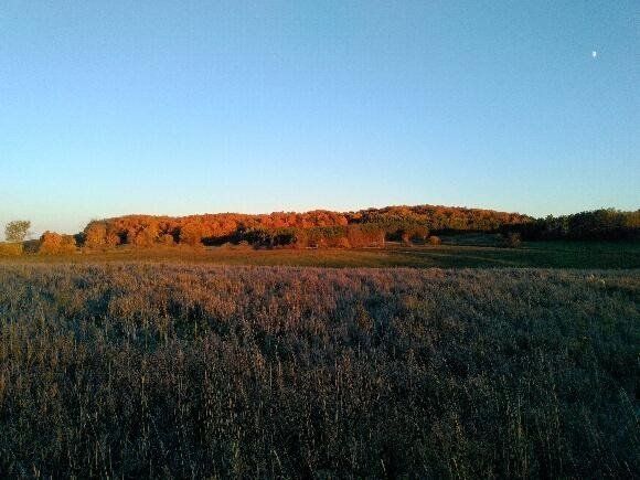 6429 3rd Line, New Tecumseth, L0G1W0 | Image 3