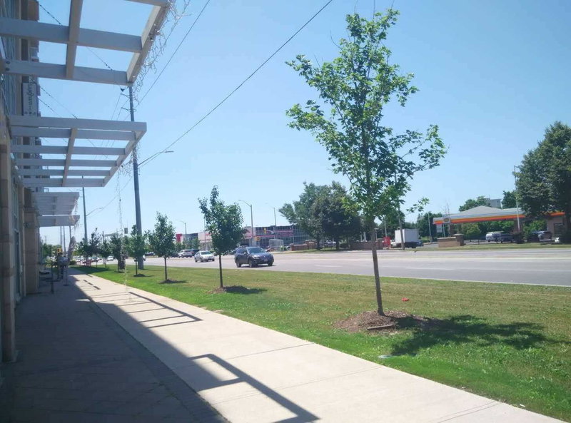 31 - 8333 Kennedy Rd, Markham, L3R4P8 | Image 3