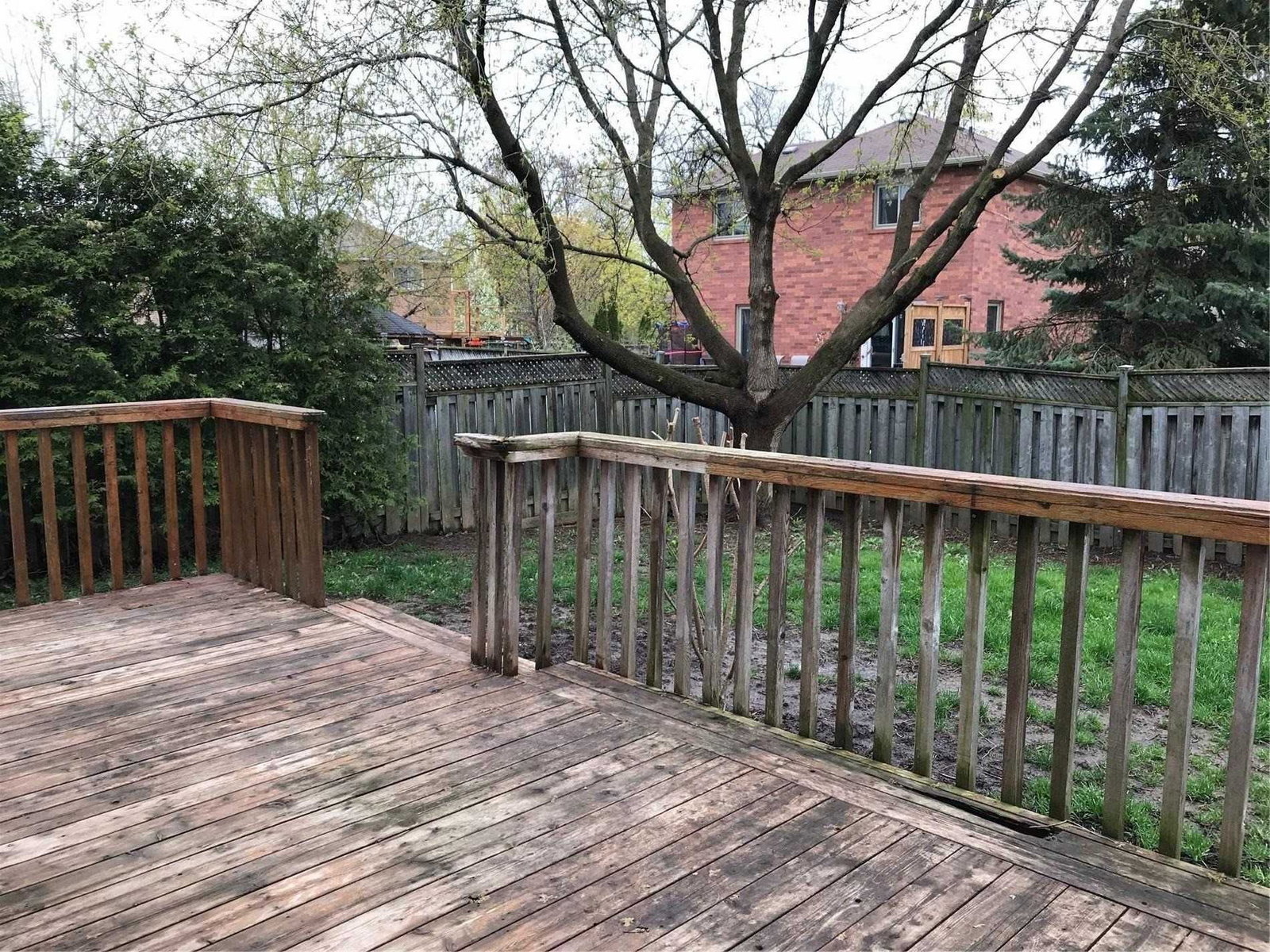 Listing Image 19