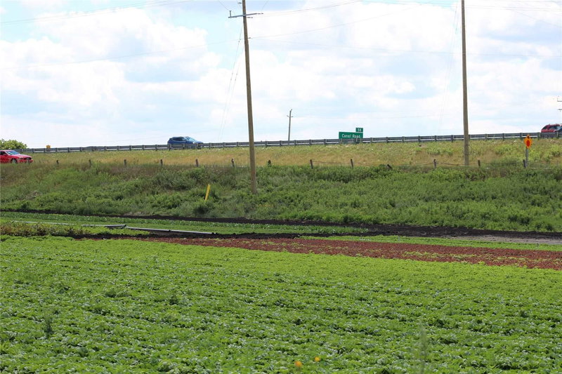 -Farm - 1153 Canal Rd, Bradford West Gwillimbury, L3Z 4E2 | Image 2