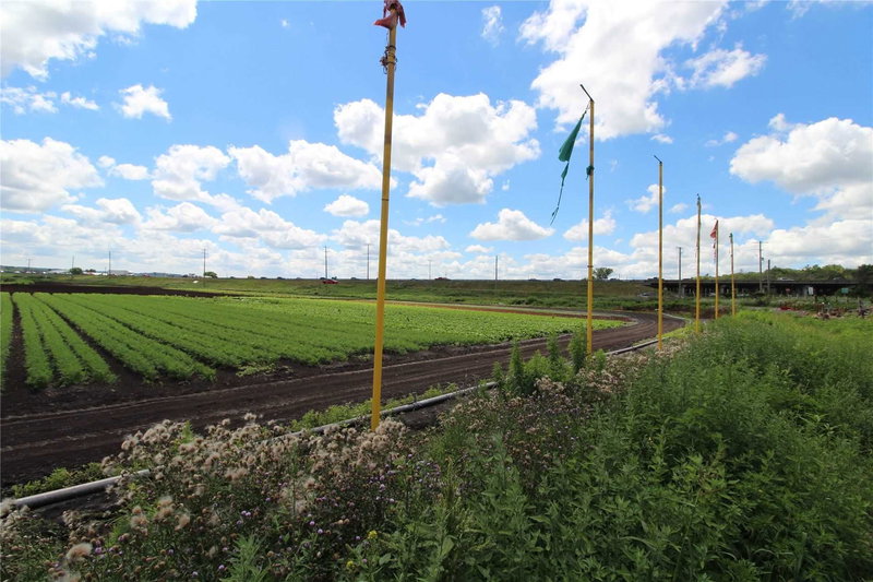 -Farm - 1153 Canal Rd, Bradford West Gwillimbury, L3Z 4E2 | Image 3