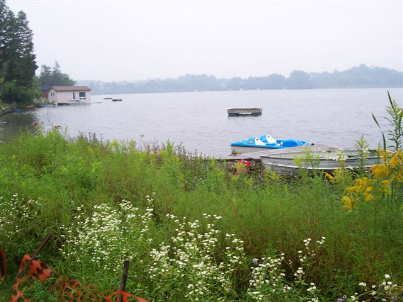 41 Connor Dr, Whitchurch-Stouffville, L4A7X3 | Image 3