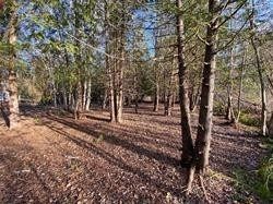 122-123 Riverview Beach Rd, Georgina, L0E1N0 | Image 2