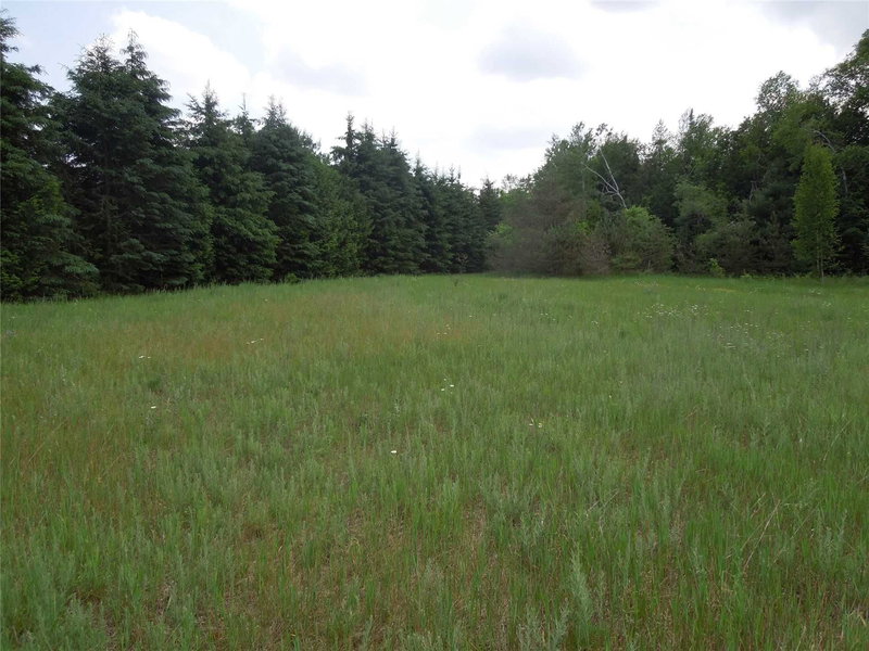 6 Tioga Blvd, Adjala-Tosorontio, L0M 1J0 | Image 2