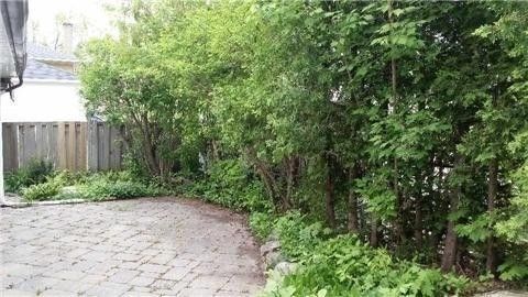 Bsmt - 234 Sussex Ave, Richmond Hill, L4C2G4 | Image 2