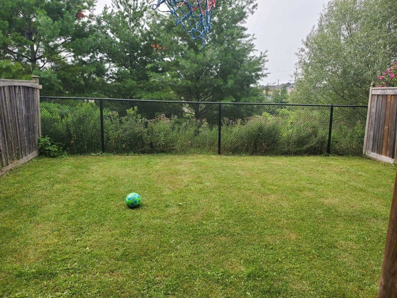 85 Shirrick Dr, Richmond Hill, L4E0B7 | Image 3