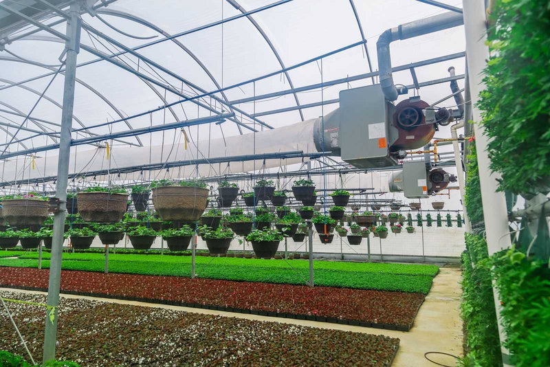 11871 Cold Creek Rd, Vaughan, L0J1C0 | Image 2