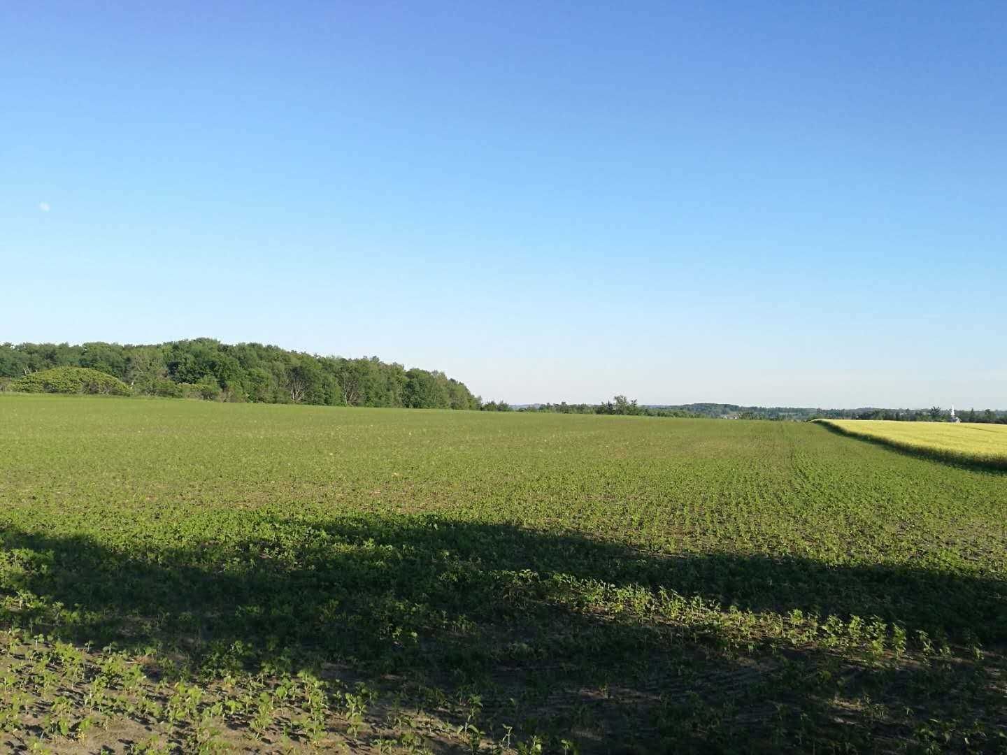 Land sold at 5239 7th Line, New Tecumseth, Beeton, L0G 1A0 - MLS: N5438258