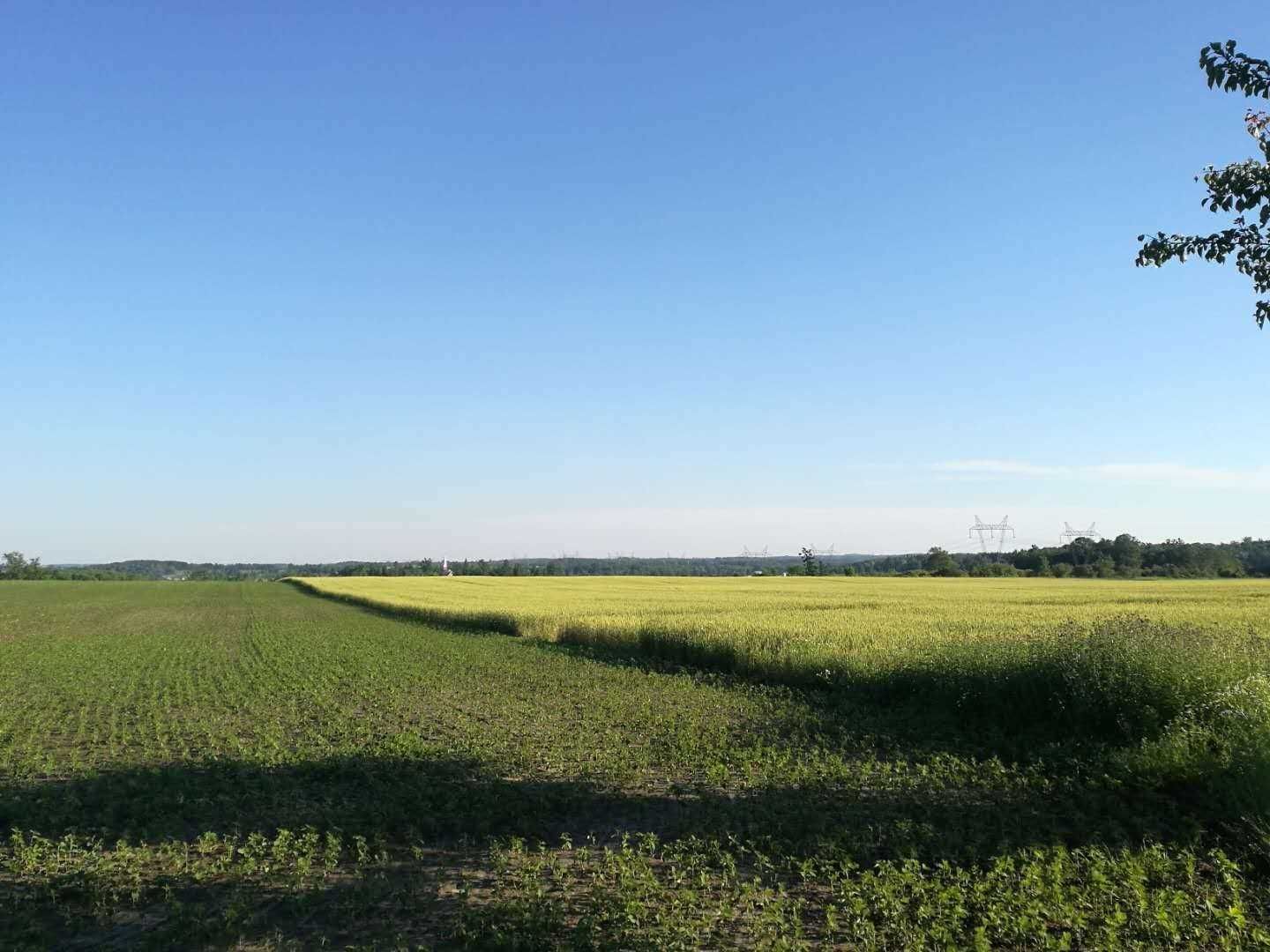 Land sold at 5239 7th Line, New Tecumseth, Beeton, L0G 1A0 - MLS: N5438258