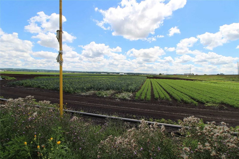 -Area 2 - 1153 Canal Rd, Bradford West Gwillimbury, L3Z 4E2 | Image 2