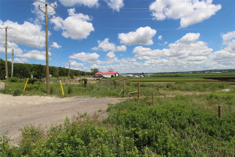 -Area 4 - 1153 Canal Rd, Bradford West Gwillimbury, L3Z 4E2 | Image 3