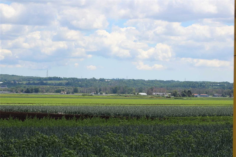 - Farm - 1153 Canal Rd, Bradford West Gwillimbury, L3Z 4E2 | Image 2