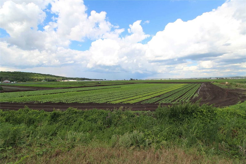 - Farm - 1153 Canal Rd, Bradford West Gwillimbury, L3Z 4E2 | Image 3