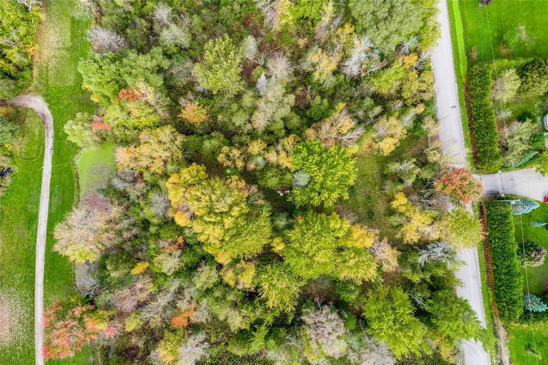 122-123 Riverview Beach Rd, Georgina, L0E1N0 | Image 2