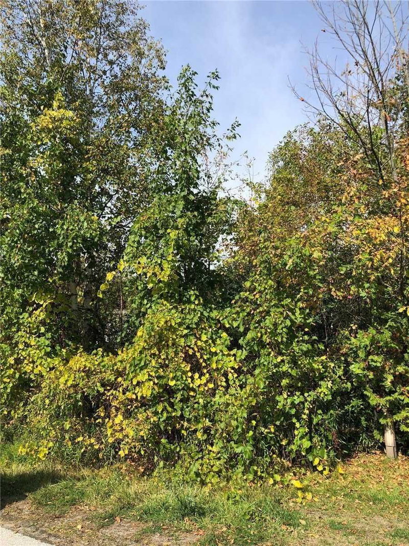 Lot 168 Dorothy Ave, Georgina, L0E1R0 | Image 2