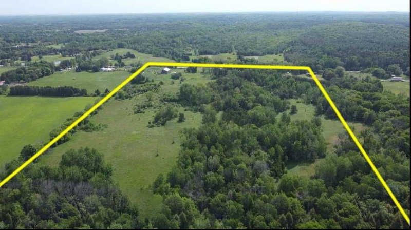 15672 Warden Ave, Whitchurch-Stouffville, L4A2V6 | Image 3