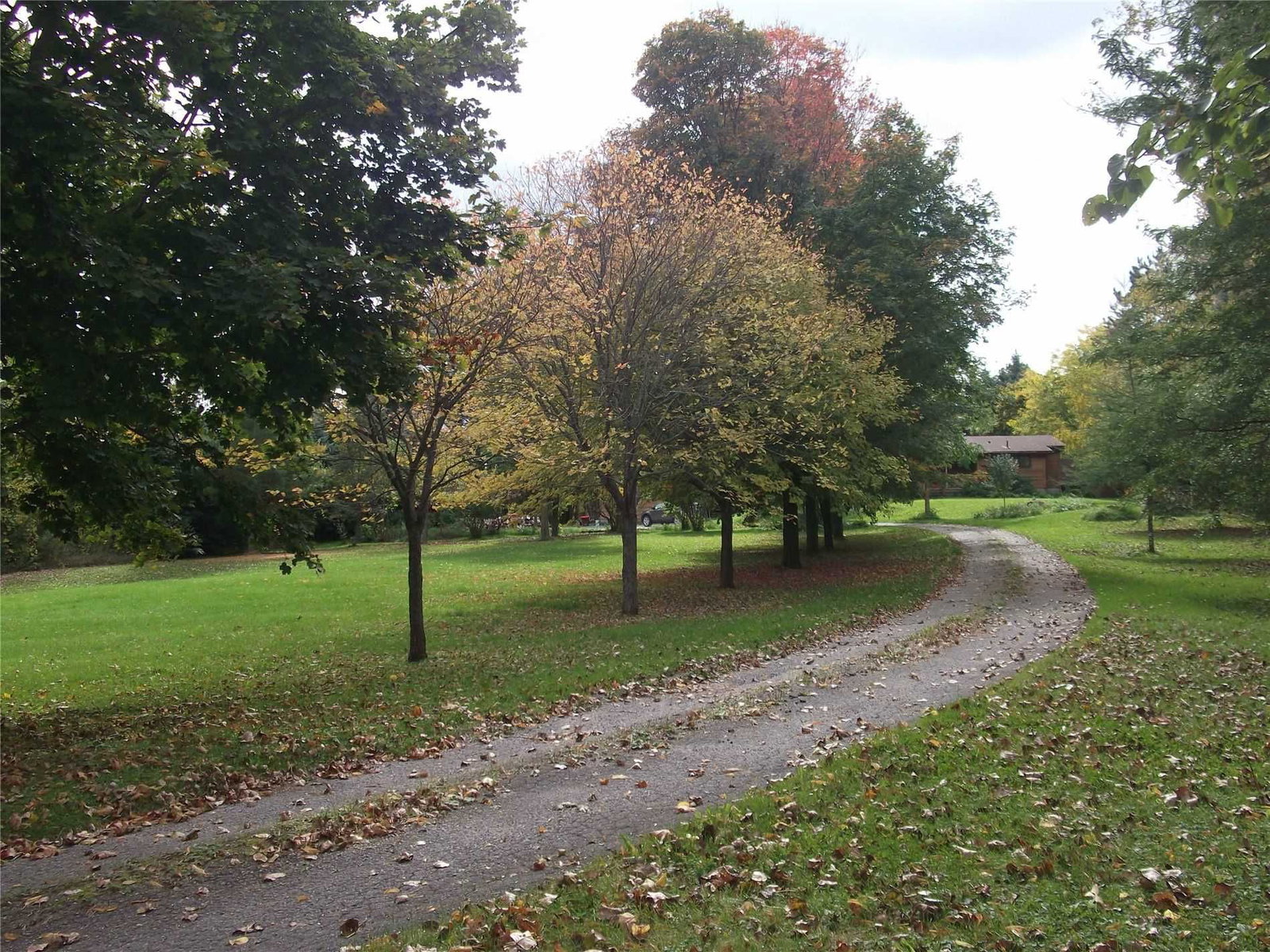 Listing Image 18