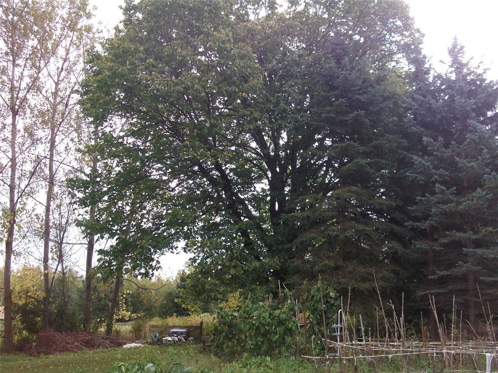 Listing Image 24