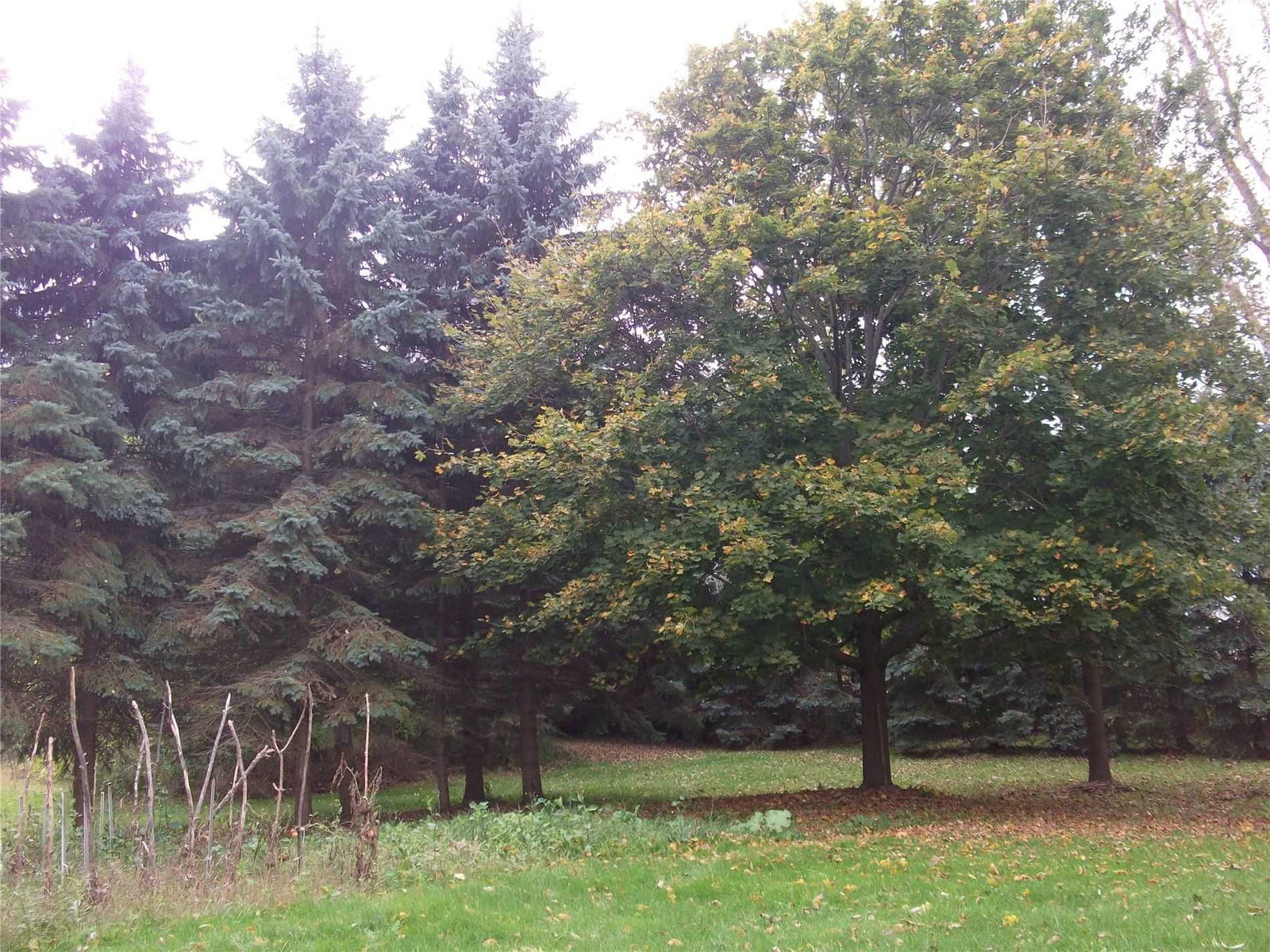 Listing Image 25