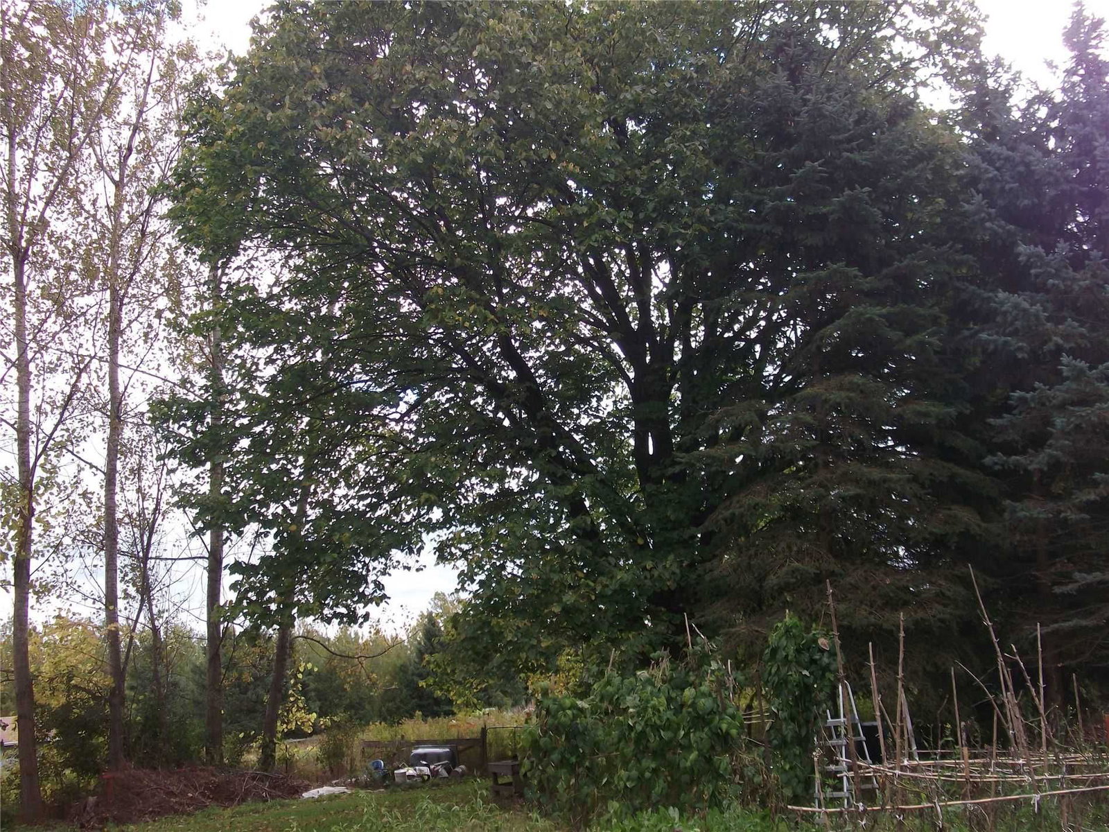 Listing Image 26