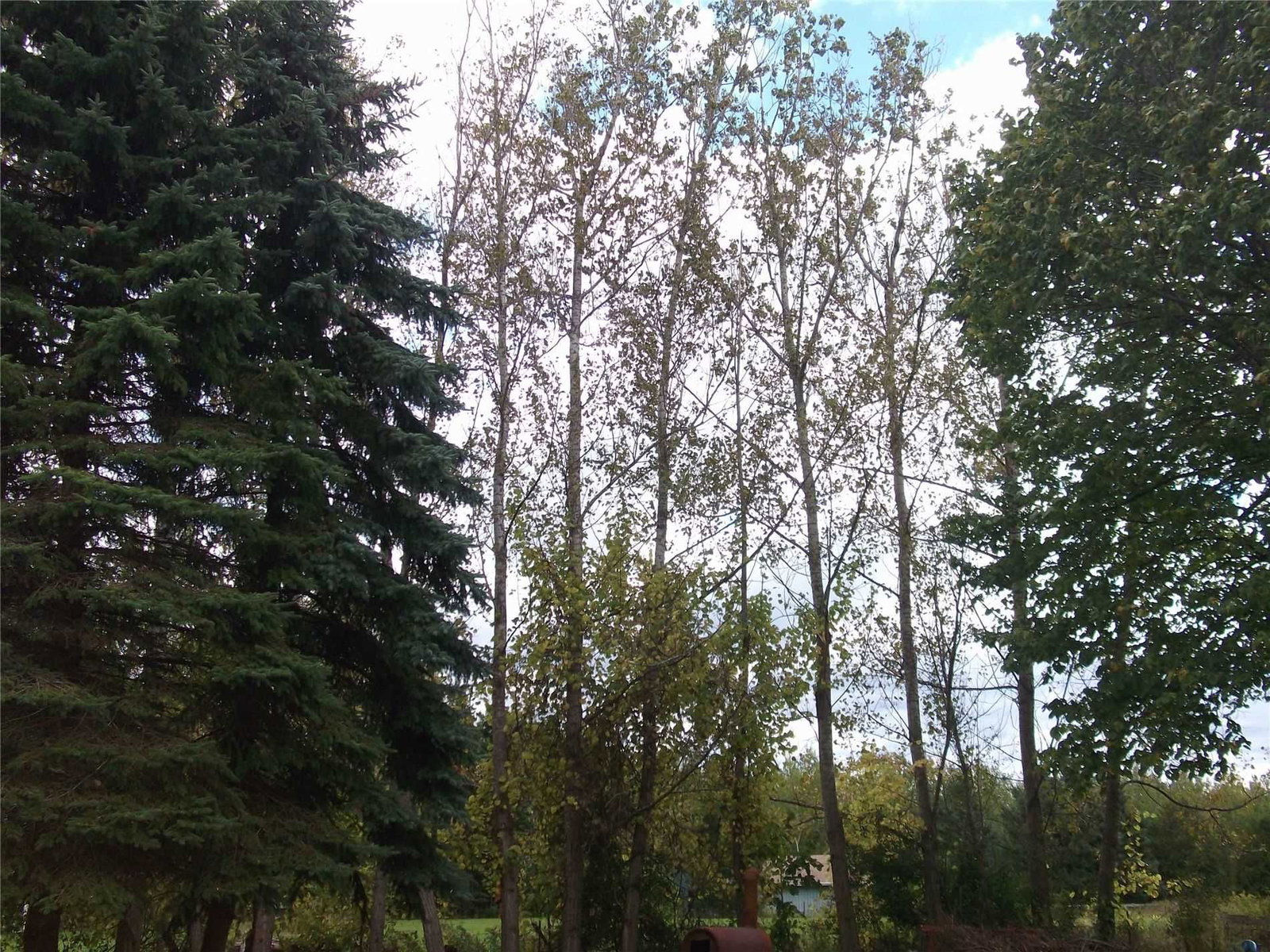 Listing Image 27