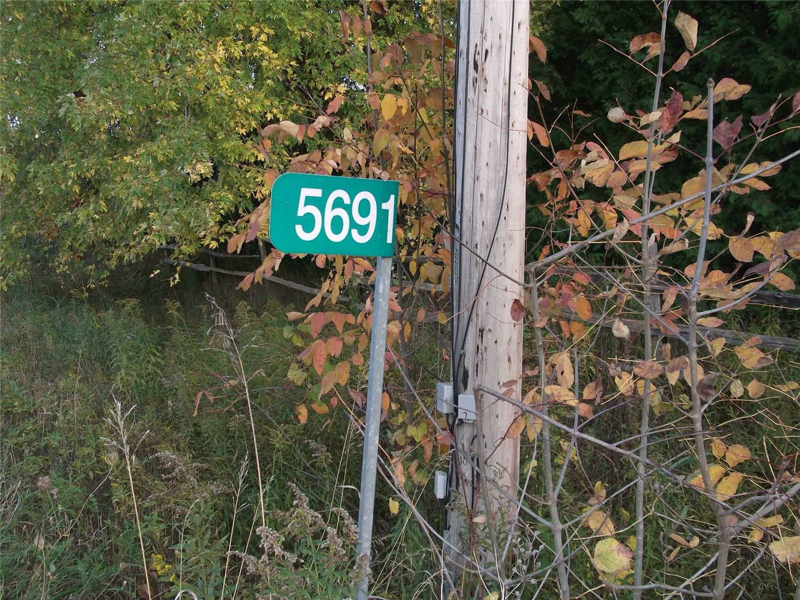 Listing Image 33
