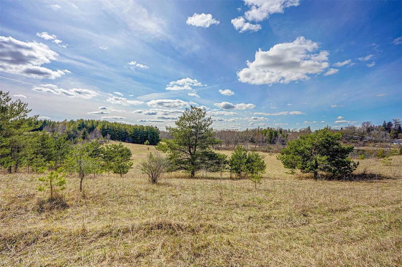 14466 Ninth Line, Whitchurch-Stouffville, L4A7X3 | Image 2