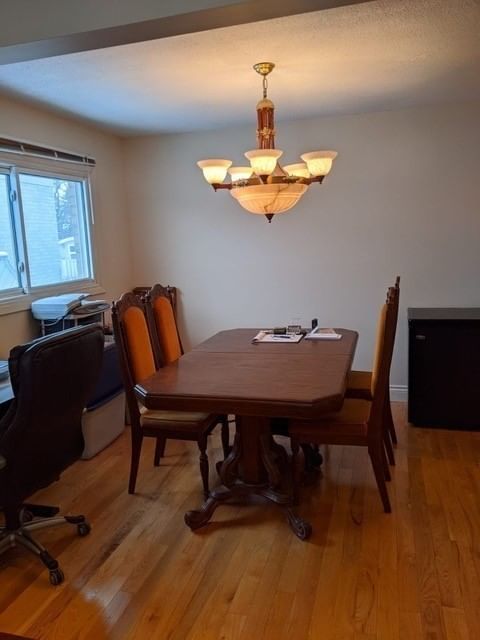 505 London Rd, Newmarket, L3Y6E4 | Image 3