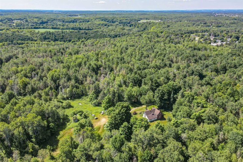 8137 4th Line, Essa, L0M1B1 | Image 3