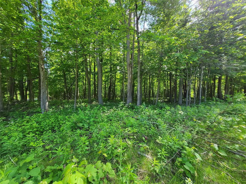 5977 Ninth Line, Whitchurch-Stouffville, L4A 7X4 | Image 2