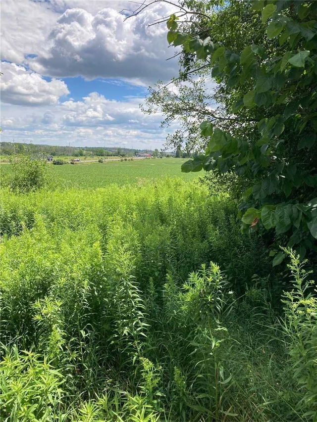 Pt Lt12 Concession 7 Road