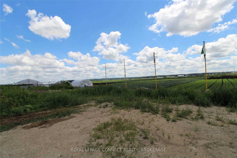 - Farm - 1153 Canal Rd, Bradford West Gwillimbury, L3Z 4E2 | Image 3