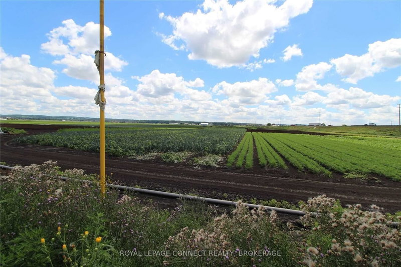 -Area 3 - 1153 Canal Rd, Bradford West Gwillimbury, L3Z 4E2 | Image 2