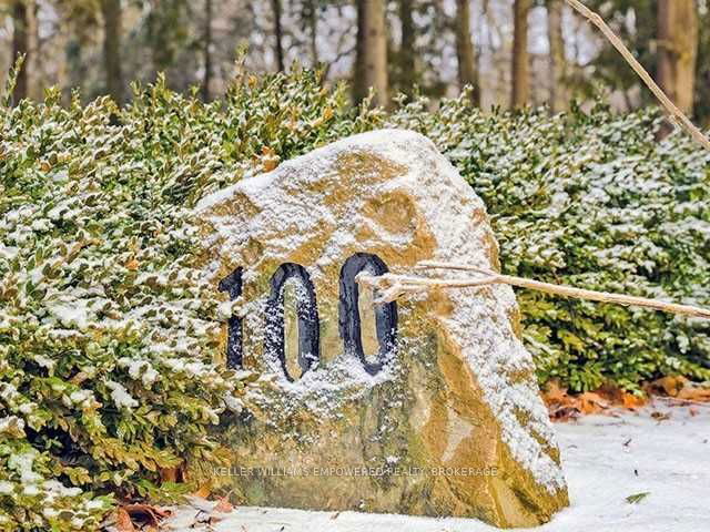 100 White Pine Trail
