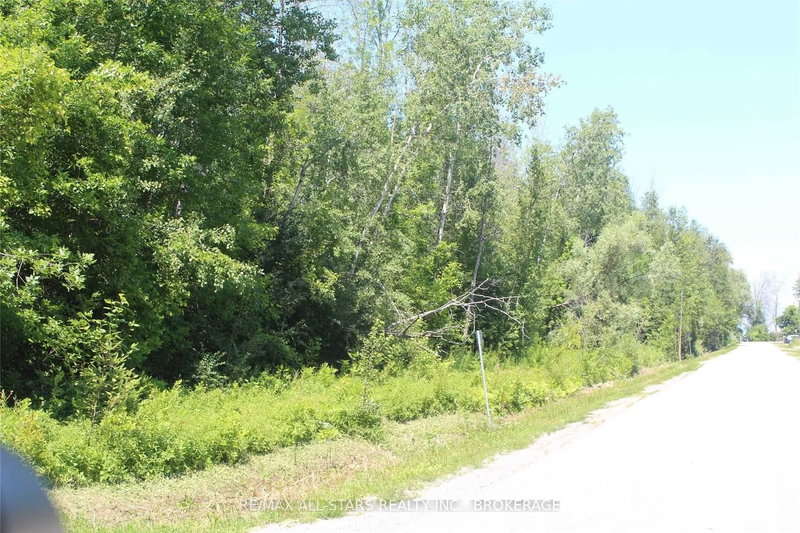 0 Metro Rd, Georgina, L4P 3G1 | Image 3