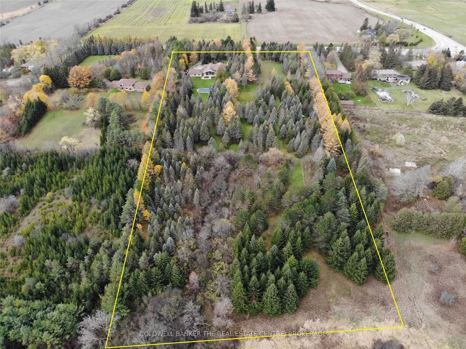 Listing Image 6