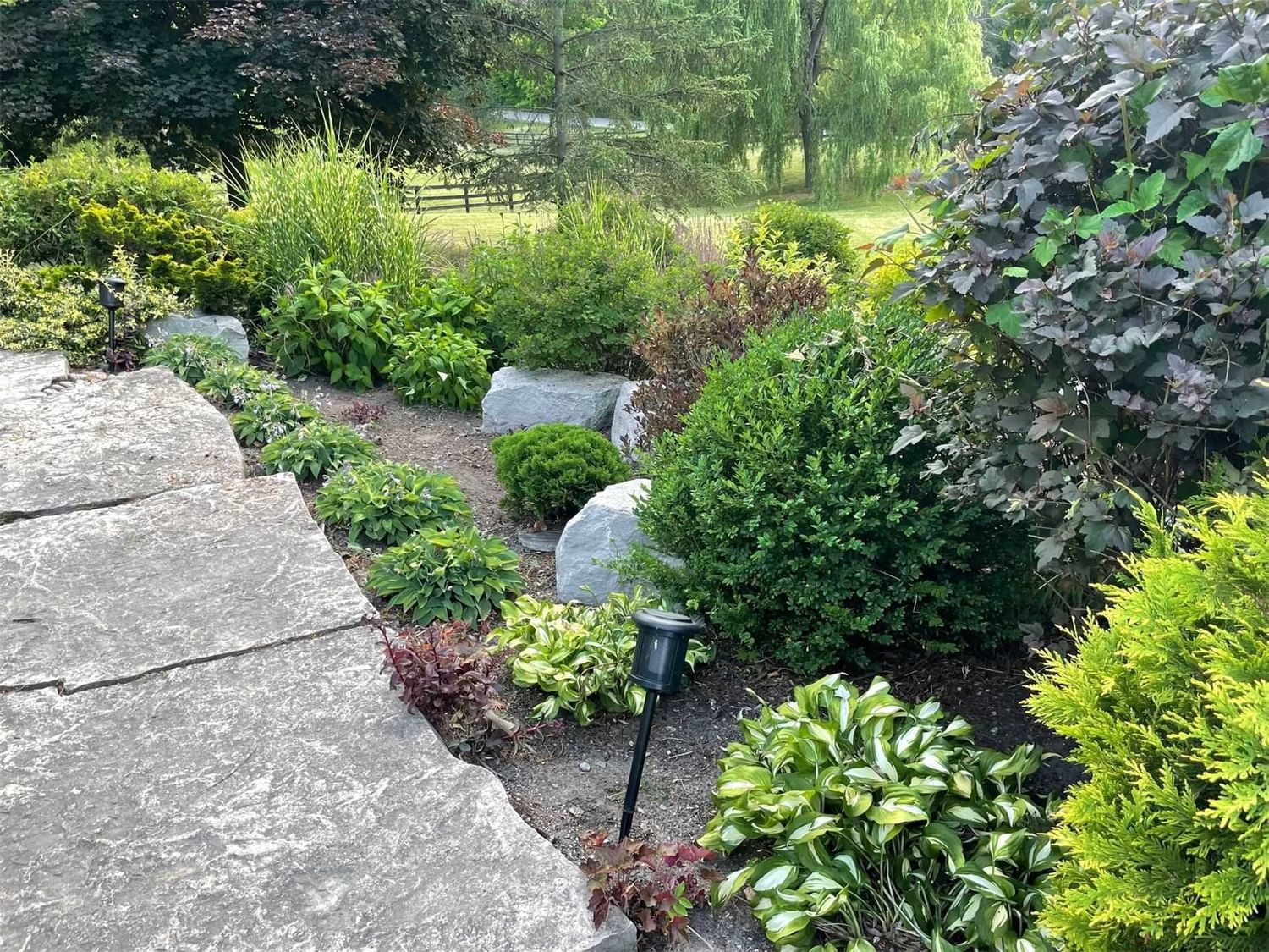 Listing Image 31