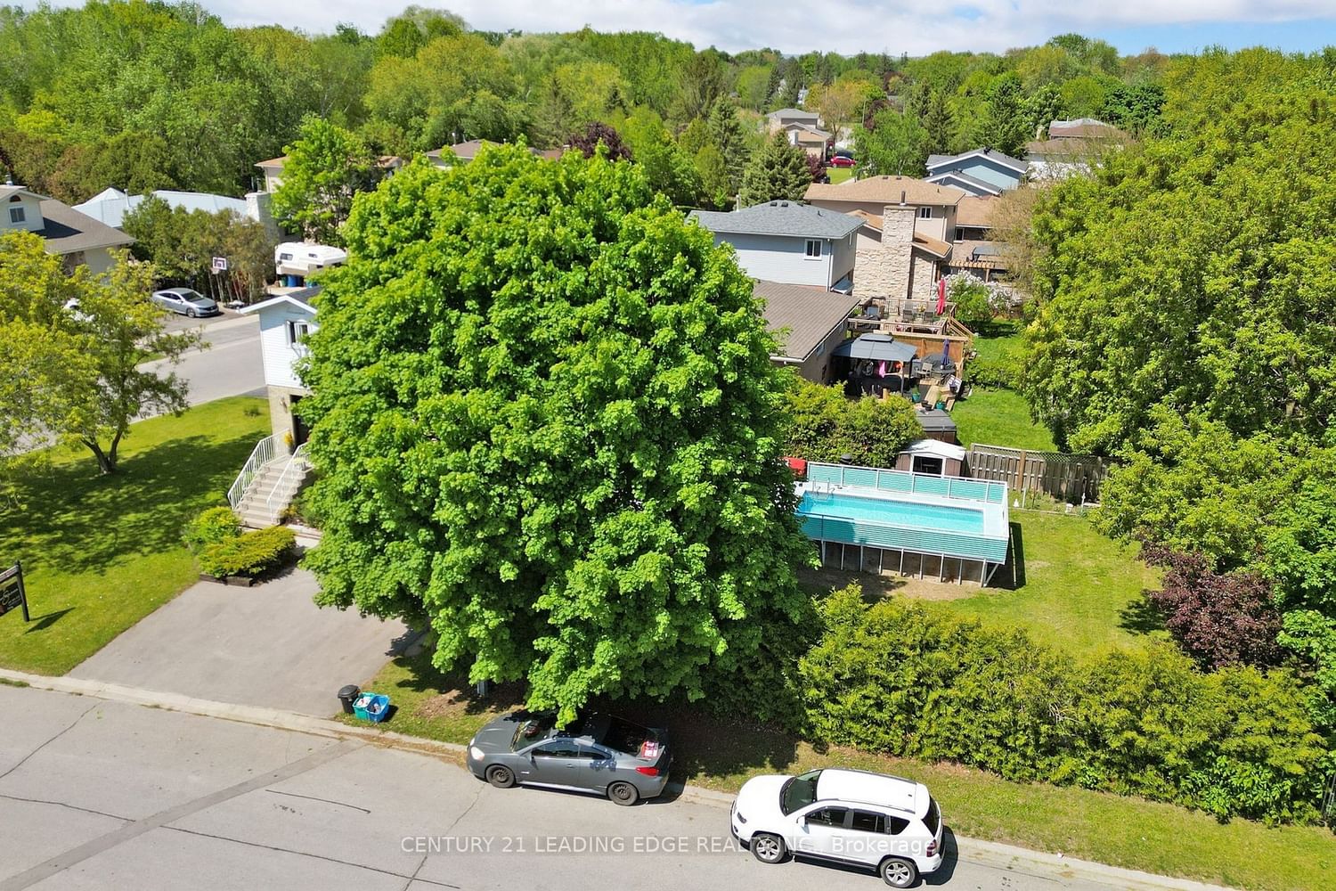 Listing Image 34