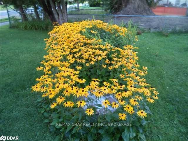 1274 Killarney Beach Rd, Innisfil, L0L 1W0 | Image 3