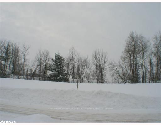 1410 Forest St, Innisfil, L9S 4Y4 | Image 3