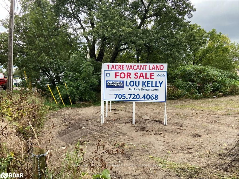 7878 Yonge St, Innisfil, L9S 1L4 | Image 3