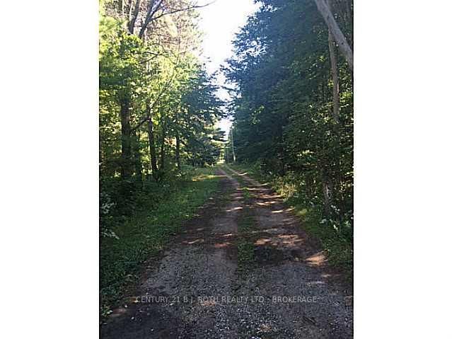 8137 4th Line, Essa, L0M 1B0 | Image 3