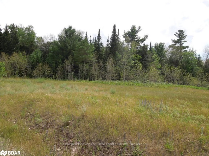 8 Tioga Blvd, Adjala-Tosorontio, L0M 1J0 | Image 3