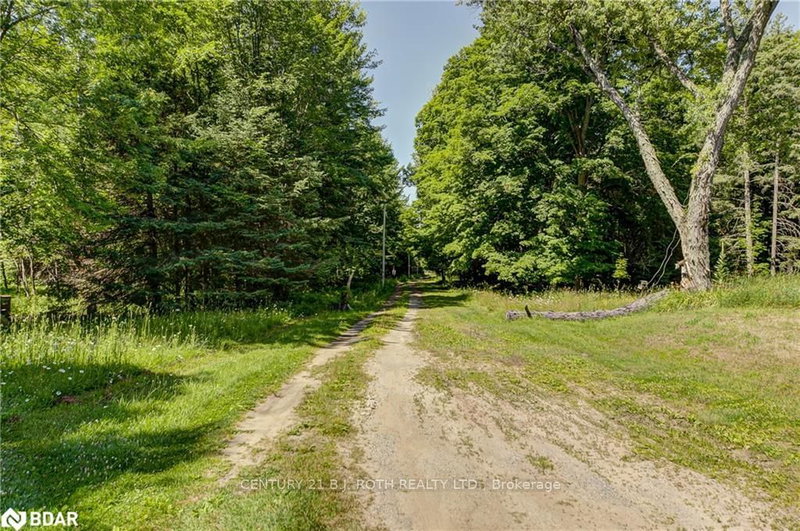 8137 4TH Line, Essa, L0M 1B0 | Image 3