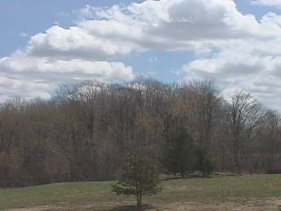 39 Deer Ridge Rd, Uxbridge, L0C1A0 | Image 2