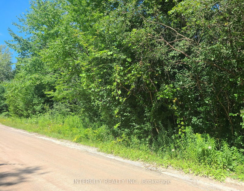 Lot 22 Routley Ave, Georgina, L0E 1N0 | Image 2