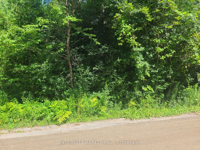 Lot 22 Routley Ave, Georgina, L0E 1N0 | Image 3